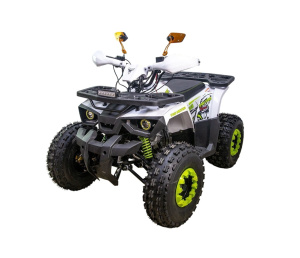 Квадроцикл Avantis Hunter 8 NEW 2025 (125 см3)